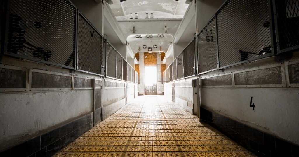 The Cultural Legacy of the Escape